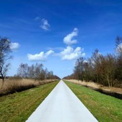 Drachten 6 holiday rentals