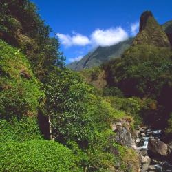 Wailuku 111 hotels with parking