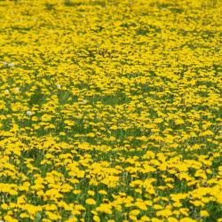 Zella-Mehlis 29 resorts de esqu&iacute;