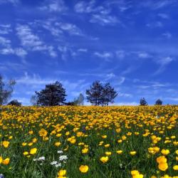 Valjevo 4 luxury hotels