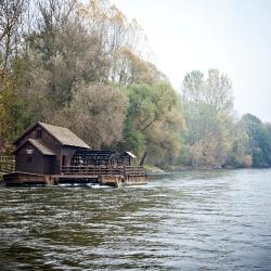 Murska Sobota 4 pet-friendly hotels