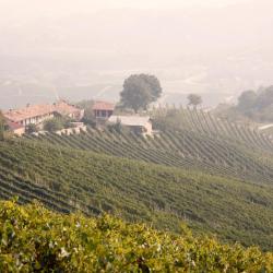 San Francesco al Campo 4 hotels