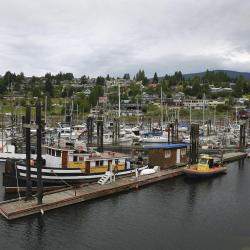 Gibsons 15 hotels