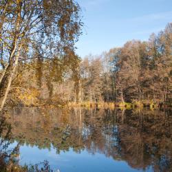 Haundorf 17 apartamentos