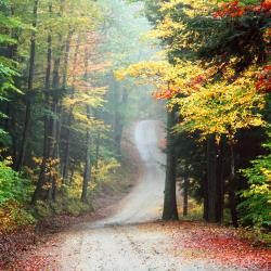 Keene 6 accessible hotels