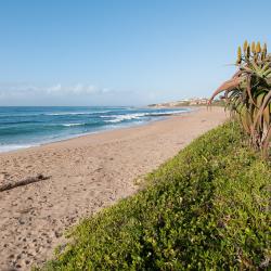 Shelly Beach 54 hotels