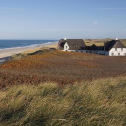 Rantum 50 of the cottages