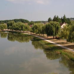Argent-sur-Sauldre 5 biệt thự