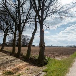 Cloppenburg 22 hotels