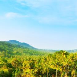 Ban Khlong Mae Nam 14 hotels
