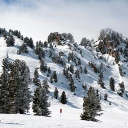 Grün 3 Skiresorts