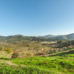 Ca&ntilde;amero Vile (6)