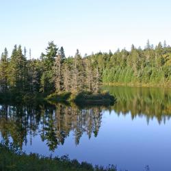 Campbellton 6 hotéis