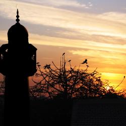Al Majmaah 9 of the accessible hotels