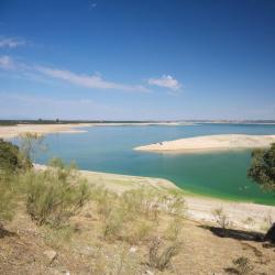 Villanueva de la Serena 3 hôtels acceptant les animaux domestiques