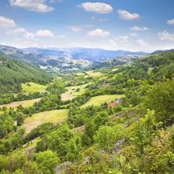 Mokra Gora 53 holiday rentals