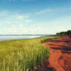 Tracadie 1 Hotel