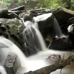 Hogsback 42 hotelů