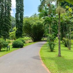 Peradeniya 5 holiday rentals