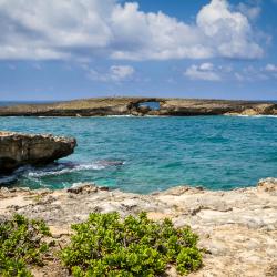 Laie 11 hotel