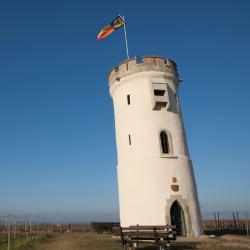 Nierstein 4 cheap hotels