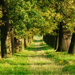 Neerglabbeek 2 hotéis