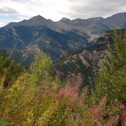 Меритксель