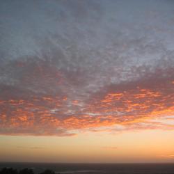 Dongara 2 hotels