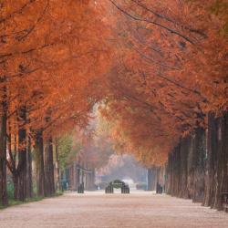 Damyang 8 of the guest houses