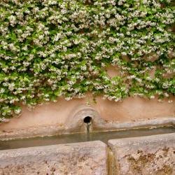 Huétor Vega 7 cabañas y casas de campo