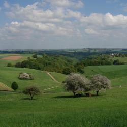 Neumarkt in der Oberpfalz 20 hotels