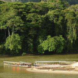 Kuala Tahan 8 of the holiday rentals