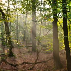 Eerbeek 4 ferieboliger