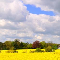 Stoke by Nayland 7 hotelov