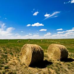 Weyburn 6 hotels