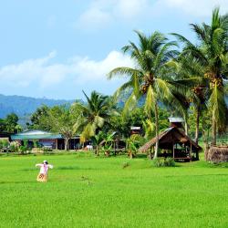 Cianjur 3 bed & breakfast