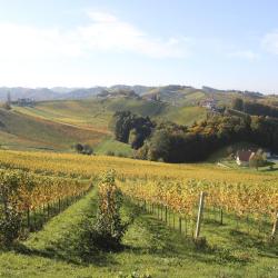 Ratsch an der Weinstraße 9 holiday rentals