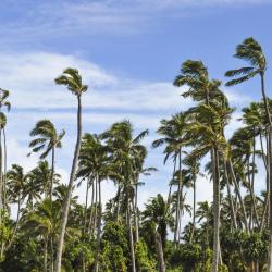Fua‘amotu 5 hotels