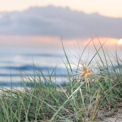 Oak Beach 7 hotels amb piscina