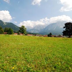 Judenburg 12 pet-friendly hotels