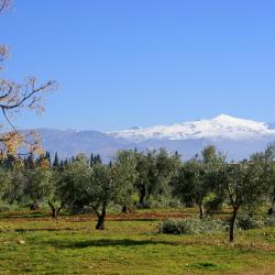 Nig&uuml;elas 3 spa hotels