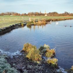 Cookham 3 pet-friendly hotels
