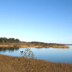 Skanderborg 10 4-star hotels