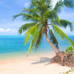 Ban Huai Yang 7 hotel dengan parking