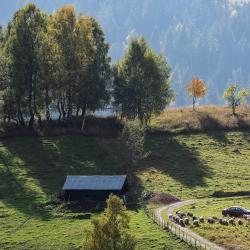 Boge Kotedžai (3)