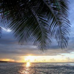Ceiba 22 hotelů