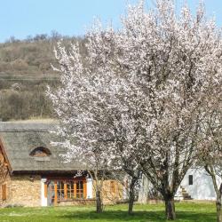 Balatonszepezd 3 hot&eacute;is na praia