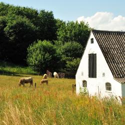 Borrby 25 cottages