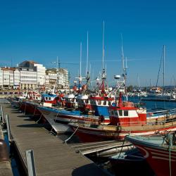 Fonte Culler 2 hotels