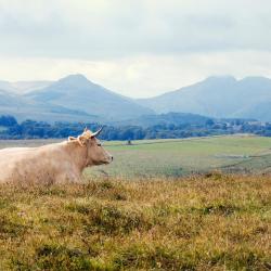 Aubrac 3 hot&eacute;is com estacionamento